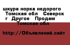 шкура норка недорого  - Томская обл., Северск г. Другое » Продам   . Томская обл.